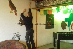 Frühjahrsputz - 0010