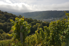 Moselhike 2017 - 0025