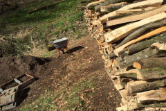 Brex Aktionstag 2018 - 0008