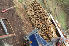 Brex Aktionstag 2018 - 0020