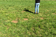 Brex Aktionstag 2018 - 0039