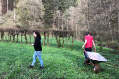 Brex Aktionstag 2018 - 0044