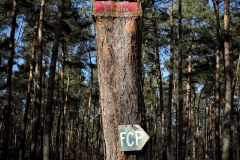 Leiterrundenwochenende - 0014