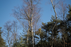 Leiterrundenwochenende - 0015