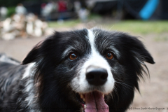 Pfingstlager 2018 - 0015