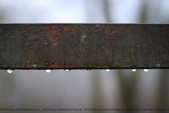 Winertlager 2018 - 0009