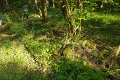 72 Stunden Aktion 2019 - 0025