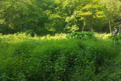 72 Stunden Aktion 2019 - 0028