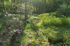 72 Stunden Aktion 2019 - 0032