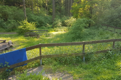 72 Stunden Aktion 2019 - 0044