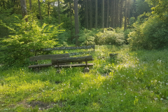 72 Stunden Aktion 2019 - 0045