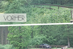 72 Stunden Aktion 2019 - 0143