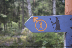 Hike Schweden - 0041