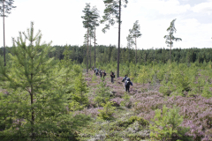 Hike Schweden - 0045