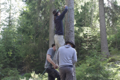 Hike Schweden - 0048