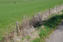 Hike Sippe Adler - 0013a