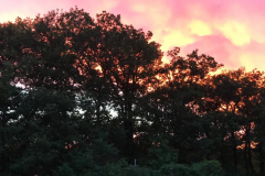 Pfingstlager Rhens 2019 - 0067