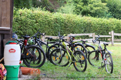 Gruppenlager Sippe Adler Brexbachtal 2020 - 0015