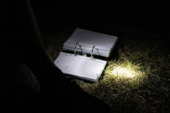 Gruppenlager Sippe Adler Brexbachtal 2020 - 0123