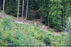 Gruppenlager Sippe Adler Brexbachtal 2020 - 0153