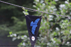 Gruppenlager Sippe Adler Brexbachtal 2020 - 0383