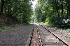 Gruppenlager Sippe Adler Brexbachtal 2020 - 0423