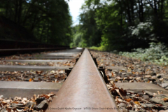 Gruppenlager Sippe Adler Brexbachtal 2020 - 0425