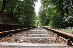 Gruppenlager Sippe Adler Brexbachtal 2020 - 0428