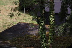 Gruppenlager Sippe Adler Brexbachtal 2020 - 0431