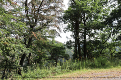 Gruppenlager Sippe Adler Brexbachtal 2020 - 0436