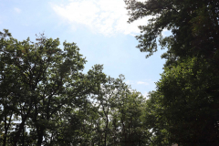 Gruppenlager Sippe Adler Brexbachtal 2020 - 0438