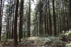 Gruppenlager Sippe Adler Brexbachtal 2020 - 0446