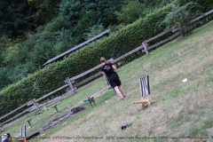 Gruppenlager Sippe Adler Brexbachtal 2020 - 0599