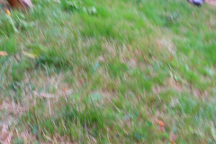 Gruppenlager Sippe Adler Brexbachtal 2020 - 0684