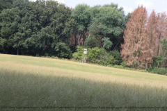 Gruppenlager Sippe Adler Brexbachtal 2020 - 0751