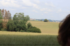 Gruppenlager Sippe Adler Brexbachtal 2020 - 0753