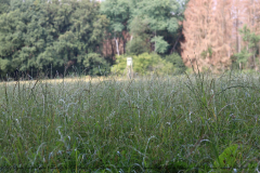 Gruppenlager Sippe Adler Brexbachtal 2020 - 0755