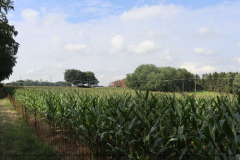 Gruppenlager Sippe Adler Brexbachtal 2020 - 0768