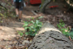 Gruppenlager Sippe Adler Brexbachtal 2020 - 0787