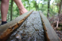 Gruppenlager Sippe Adler Brexbachtal 2020 - 0788