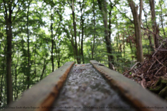 Gruppenlager Sippe Adler Brexbachtal 2020 - 0789