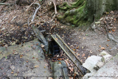 Gruppenlager Sippe Adler Brexbachtal 2020 - 0800