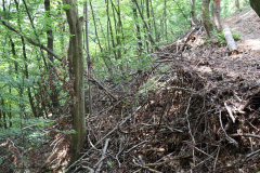 Gruppenlager Sippe Adler Brexbachtal 2020 - 0803