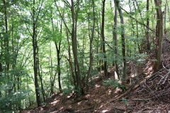 Gruppenlager Sippe Adler Brexbachtal 2020 - 0805