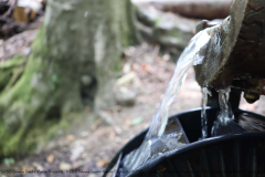 Gruppenlager Sippe Adler Brexbachtal 2020 - 0806