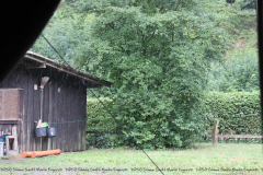 Gruppenlager Sippe Adler Brexbachtal 2020 - 0815