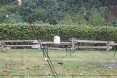 Gruppenlager Sippe Adler Brexbachtal 2020 - 0819