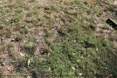 Gruppenlager Sippe Adler Brexbachtal 2020 - 0852