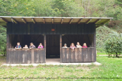 Gruppenlager Meute Hirsch Brexbachtal 2020 - 0009