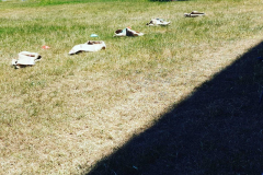 Pfingsten 2020 Stafette in Engers - 0002